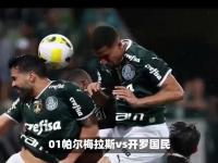 乐鱼体育 官方平台-帕尔梅拉斯主教练称赞球队拼搏精神，期待突破的简单介绍